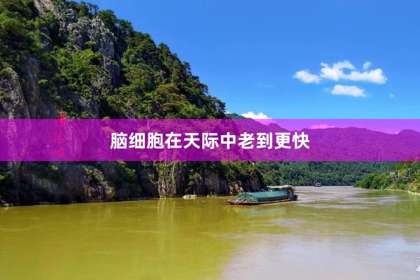 脑细胞在天际中老到更快